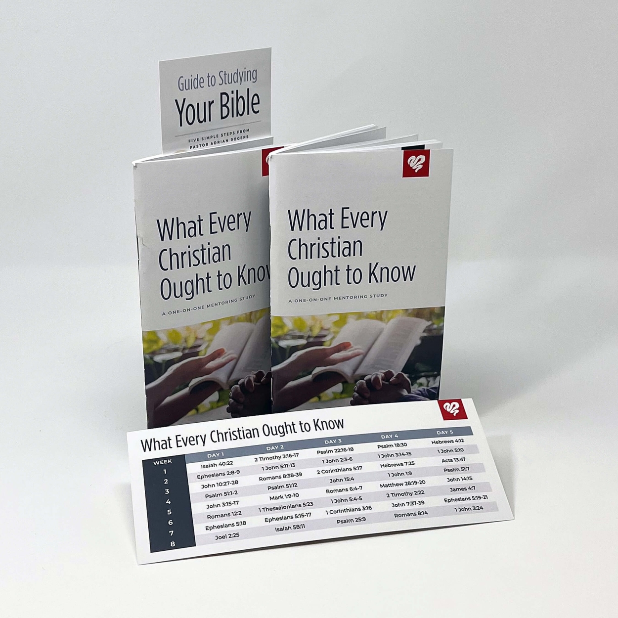 TWEC what every christian ought to know mentoring tool STORE GRID
